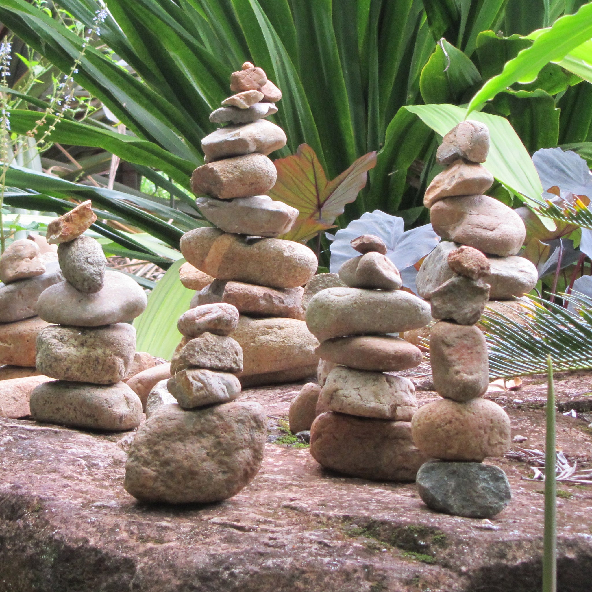 Finding Balance in an Erratic World