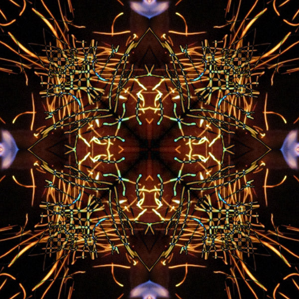 How do I instill a daily habit?