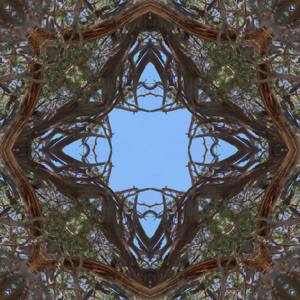 Which recordings will induce an OBE?