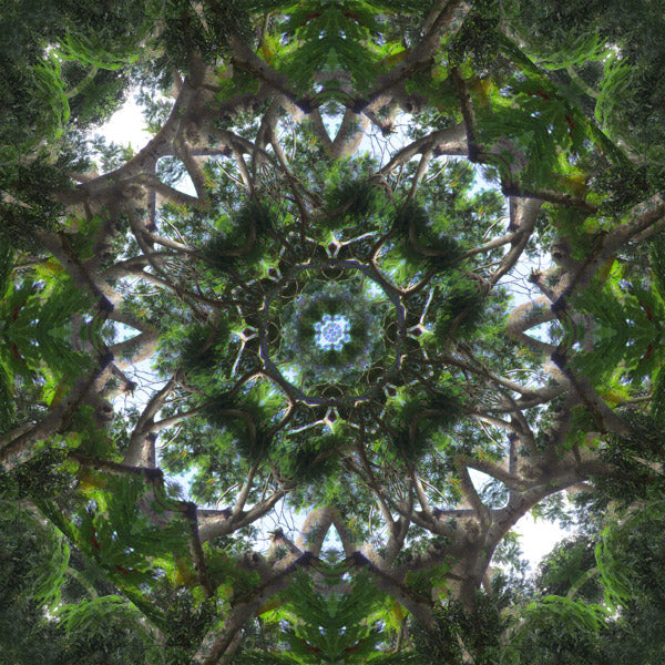 Why are your recordings expensive?